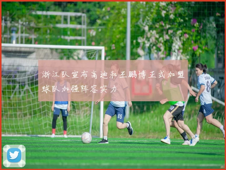 浙江队宣布高迪和王鹏博正式加盟球队加强阵容实力