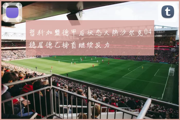 哲科加盟德甲后状态火热沙尔克04稳居德乙榜首继续发力